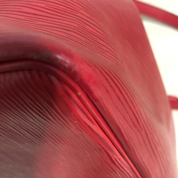 LV Epi Noe🌹 - Picture 9 of 15